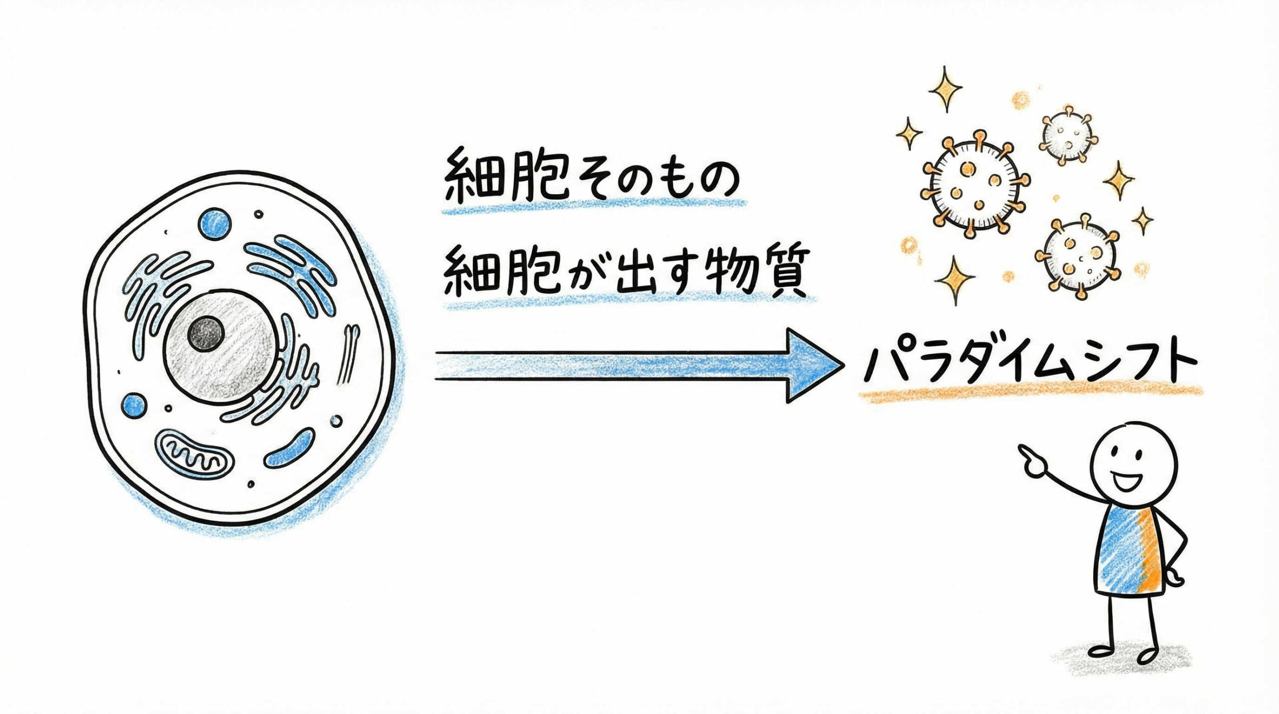 エクソソームの生物学的機能と治療応用の展望：次世代モダリティとしての可能性