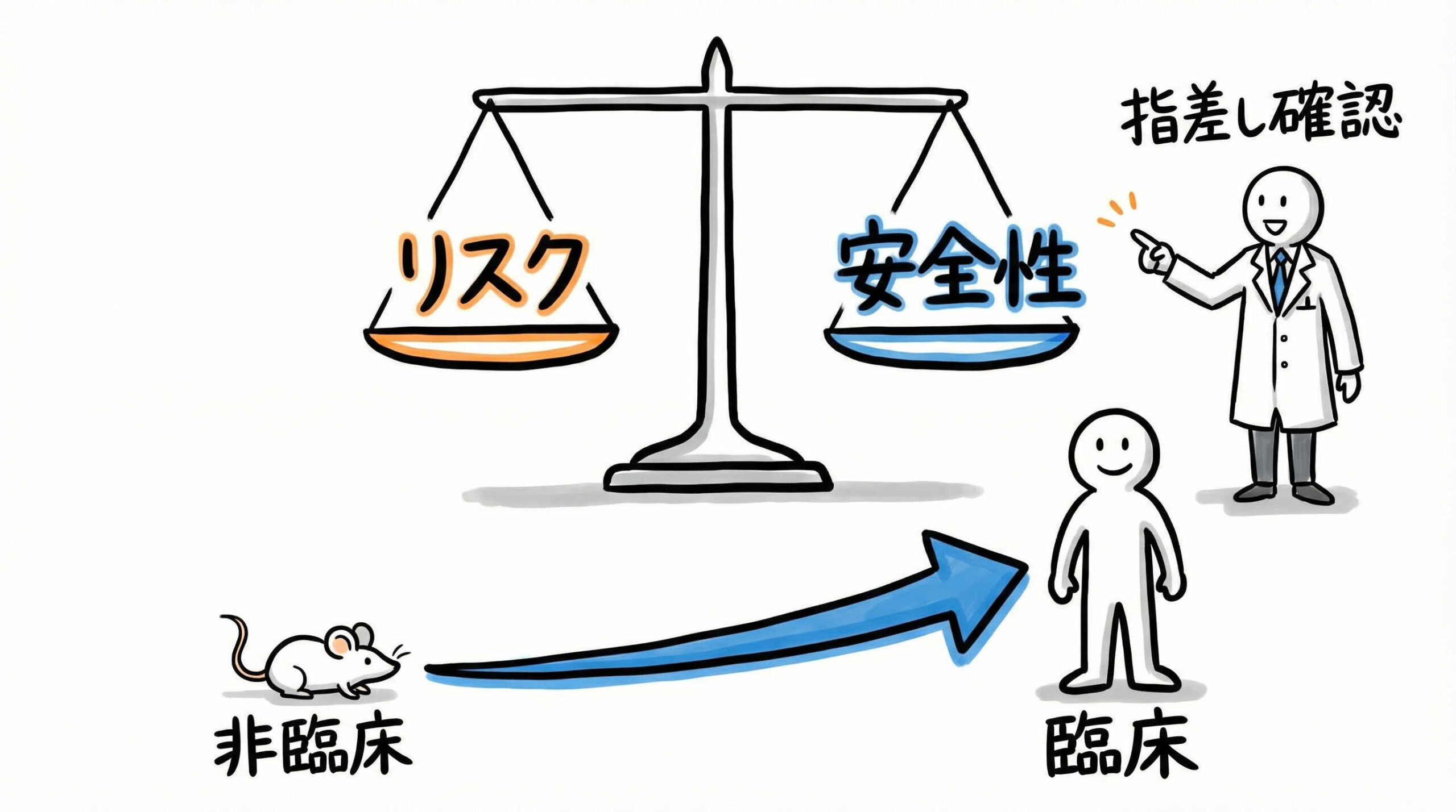 非臨床試験および臨床試験（治験）における安全性評価のポイント